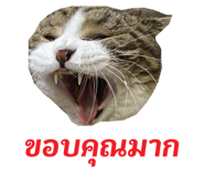 763300962