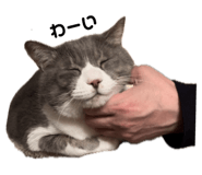 763307371