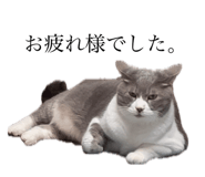 763307376