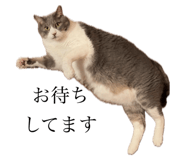 763307383