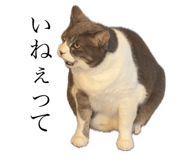 763307387