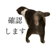 763307389