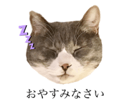 763307391