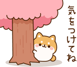 763310972