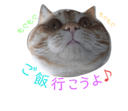 76332114