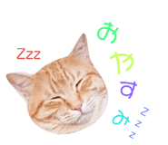 76332115