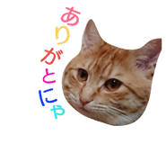 76332117