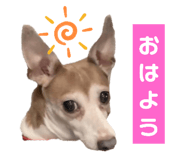 763330305