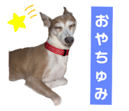 763330306