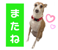 763330307