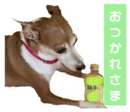 763330309