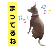 763330311