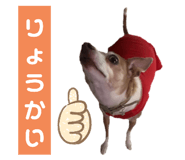 763330312