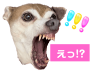 763330313