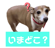 763330314