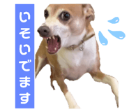 763330315