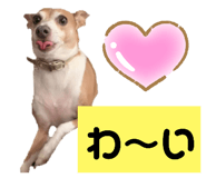763330317