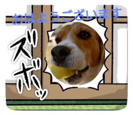 763335077