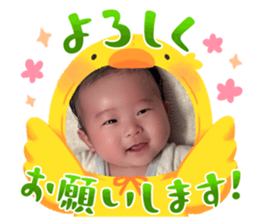 763345135