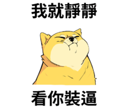 763346355