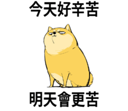 763346367