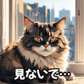 763347644