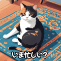 763347647