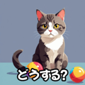 763347649