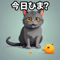763347654