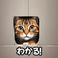 763347661