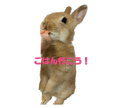 763348165