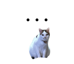 763360495
