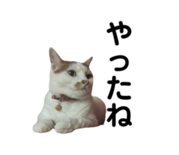 763360496