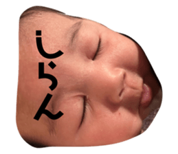 763361228