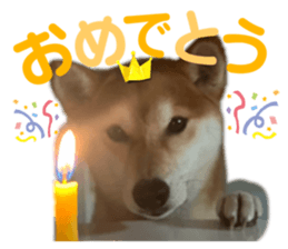 763366748