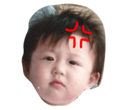 763366755