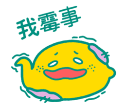 763367055