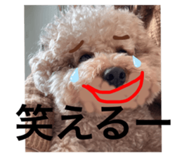 763368851