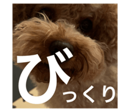 763368857