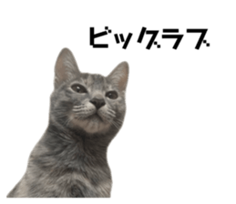763369880