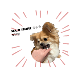 763370243
