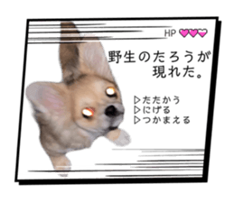 763370263