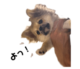 763370265
