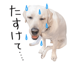 763370502