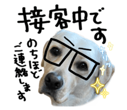 763370505