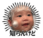 763381143