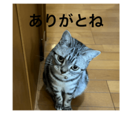 763381916