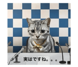 763381919