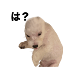 763382078