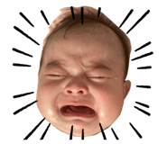 763384632